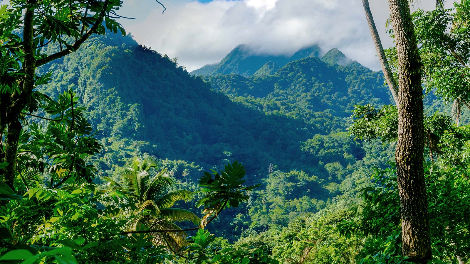 GALLERY: ART Conversations at COP30