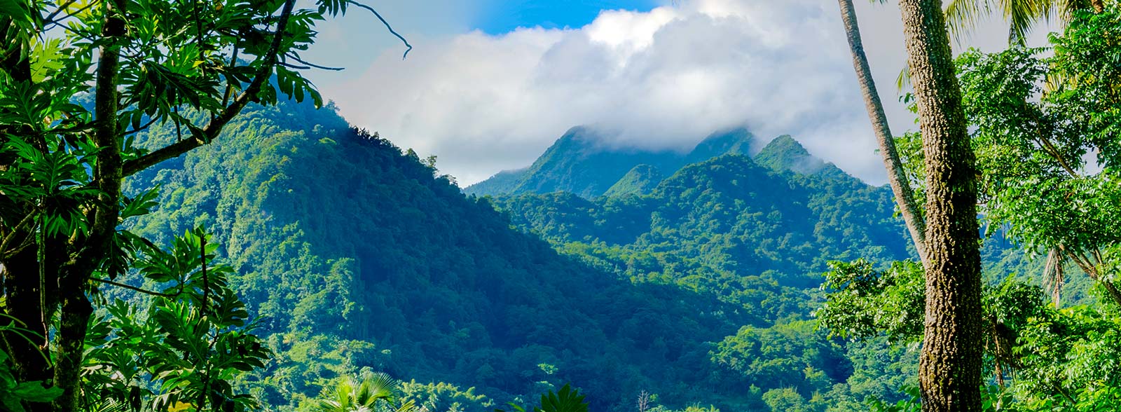 GALLERY: ART Conversations at COP30